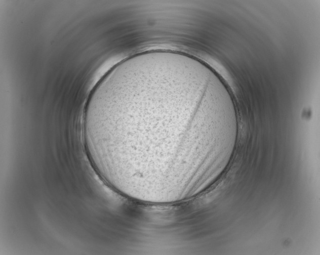 X0000090631290200708141426