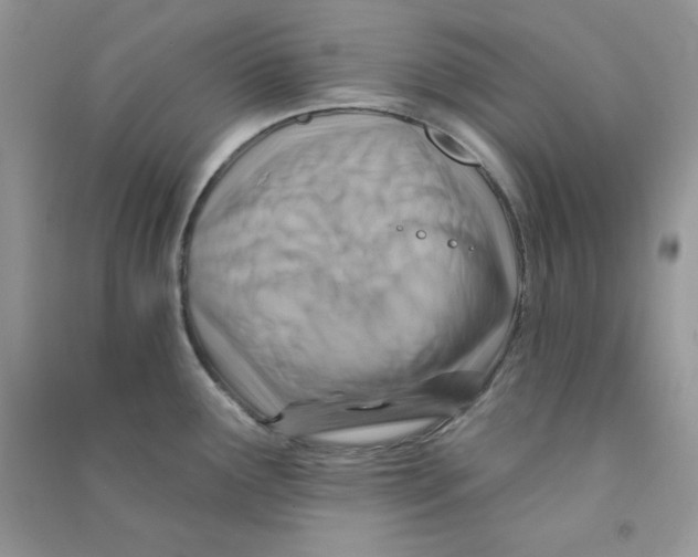 X0000090631291200708141426