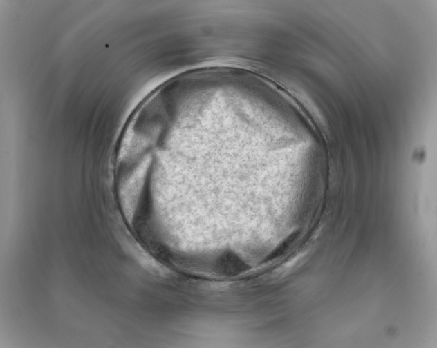 X0000090631292200708141426