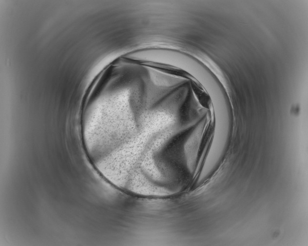 X0000090631293200708141426