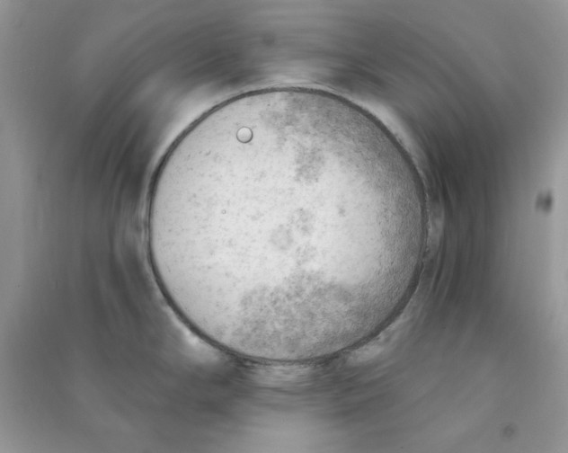 X0000090631294200708141426