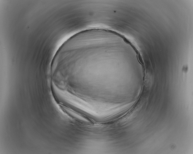 X0000090631295200708141426