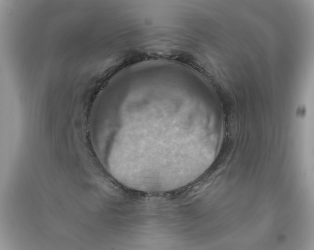 X0000090631297200708141425