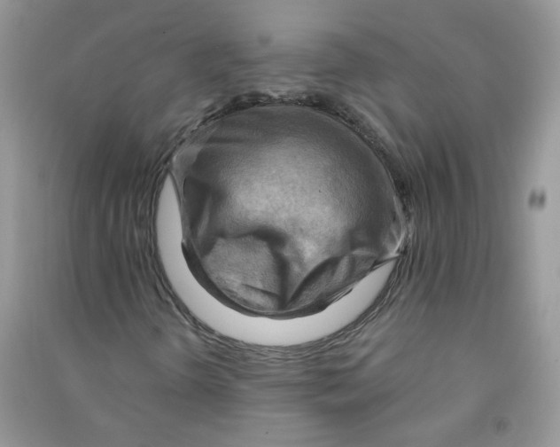 X0000090631298200708141425