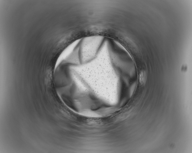 X0000090631299200708141425