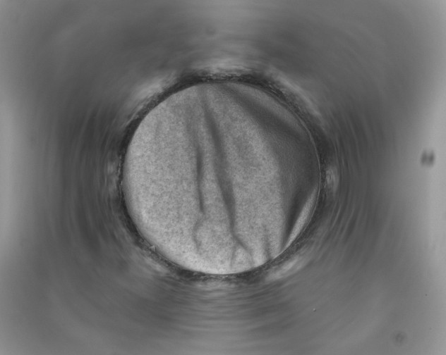 X0000090631300200708141425