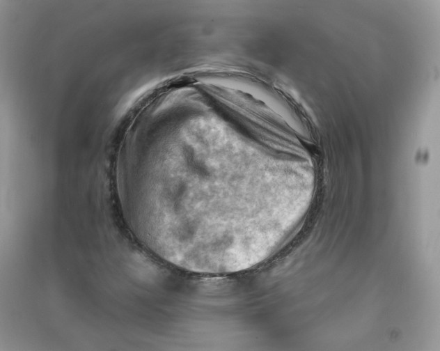 X0000090631304200708141425