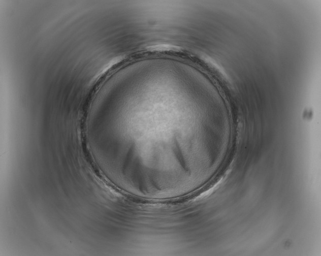 X0000090631305200708141425