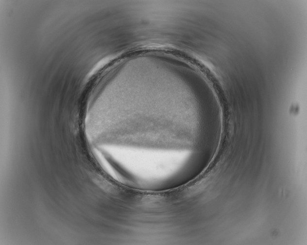 X0000090631306200708141425
