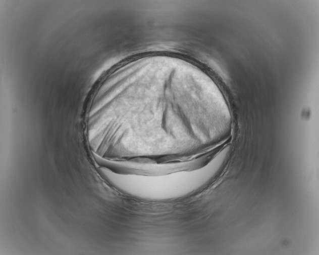 X0000090631308200708141425
