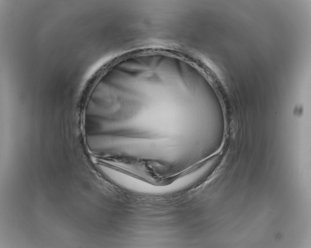 X0000090631310200708141425