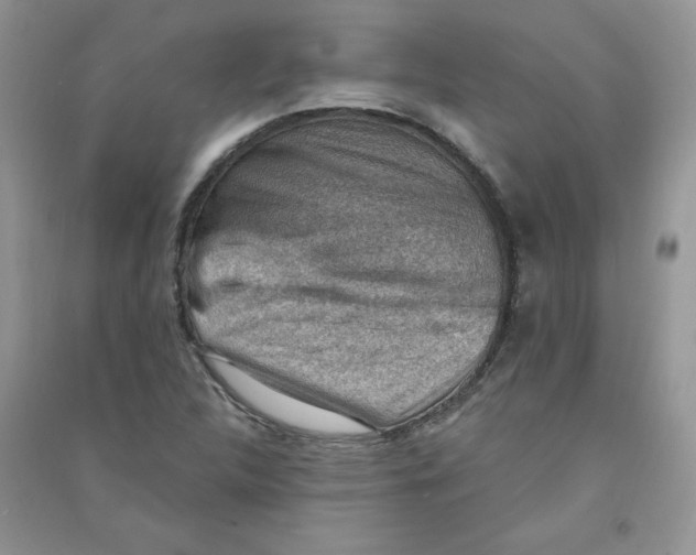 X0000090631312200708141425