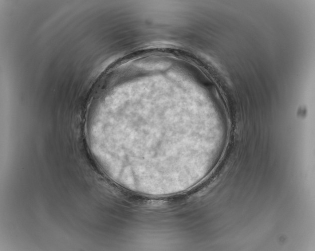 X0000090631313200708141426
