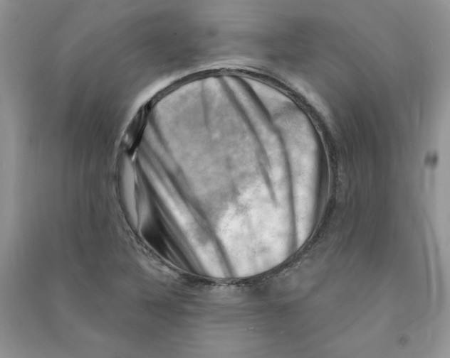 X0000090631316200708141426