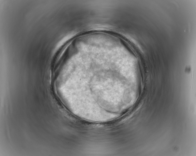 X0000090631317200708141426