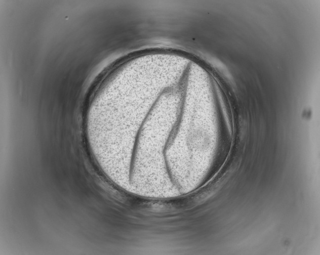 X0000090631318200708141426