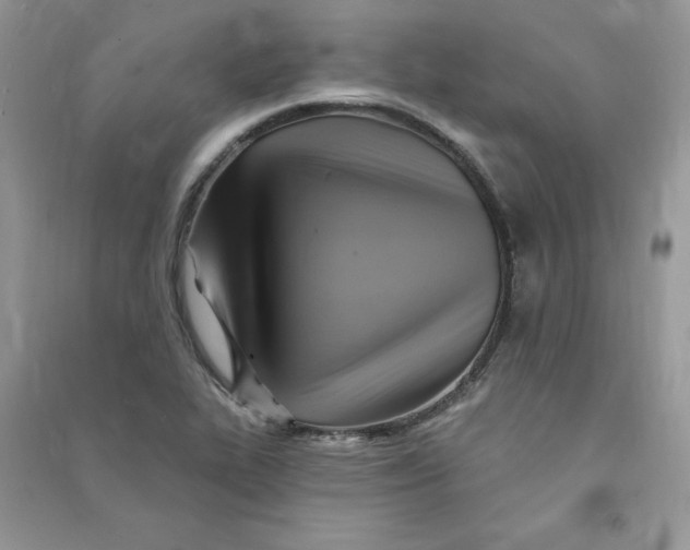 X0000090631319200708141426