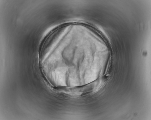 X0000090631320200708141426
