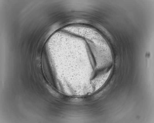 X0000090631321200708141426