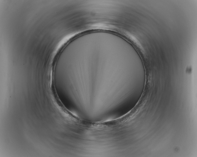 X0000090631323200708141426