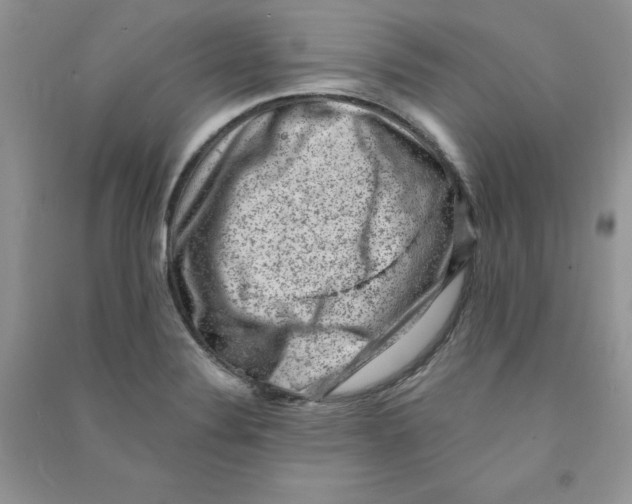 X0000090631324200708141426