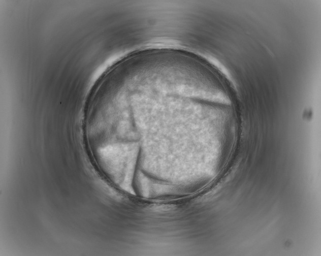 X0000090631325200708141426