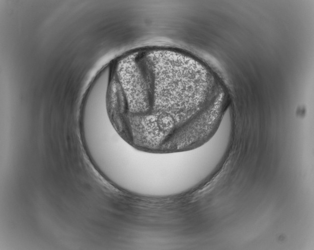 X0000090631326200708141426