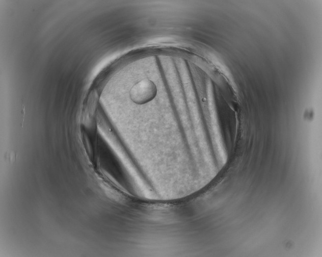 X0000090631328200708141426