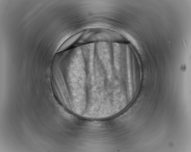 X0000090631329200708141426