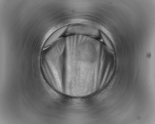 X0000090631330200708141426
