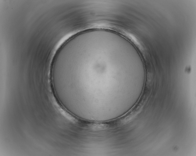 X0000090631331200708141426