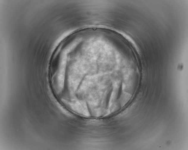 X0000090631333200708141426