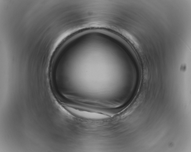 X0000090631334200708141426