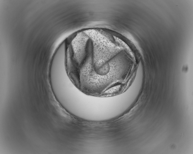 X0000090631336200708141426