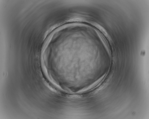 X0000090631337200708141426