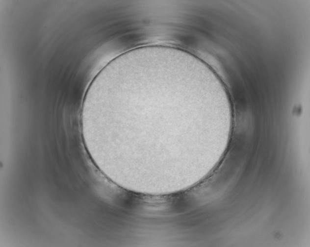 X0000090631338200708141426