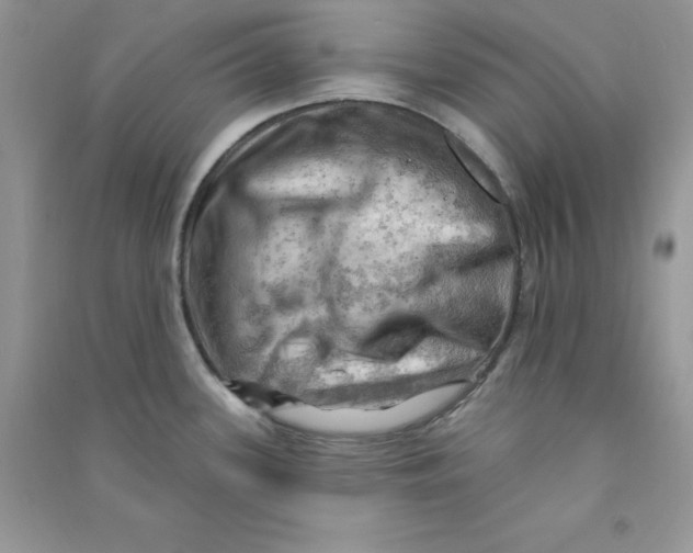 X0000090631339200708141426