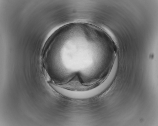 X0000090631340200708141426