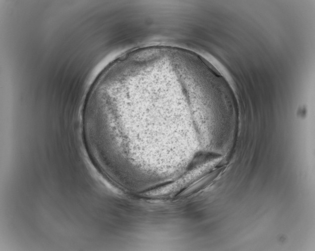 X0000090631341200708141426