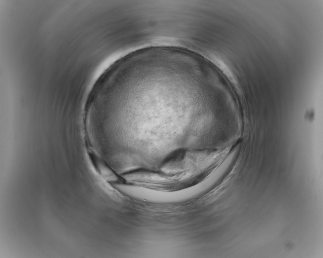 X0000090631342200708141426