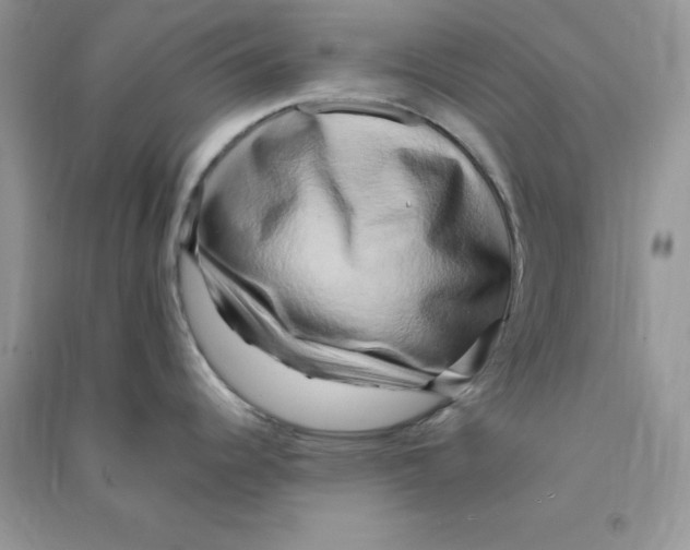 X0000090631344200708141426