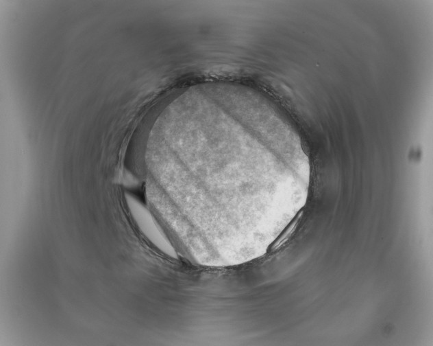 X0000090631345200708141425