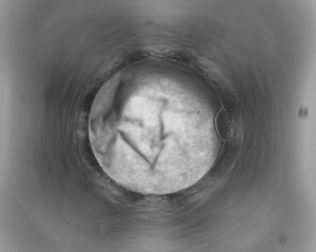 X0000090631346200708141425