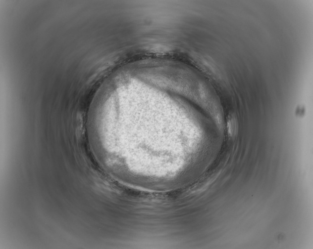 X0000090631347200708141425