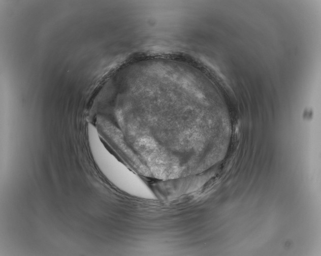 X0000090631348200708141425