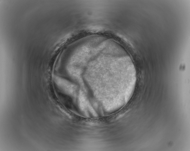 X0000090631349200708141425