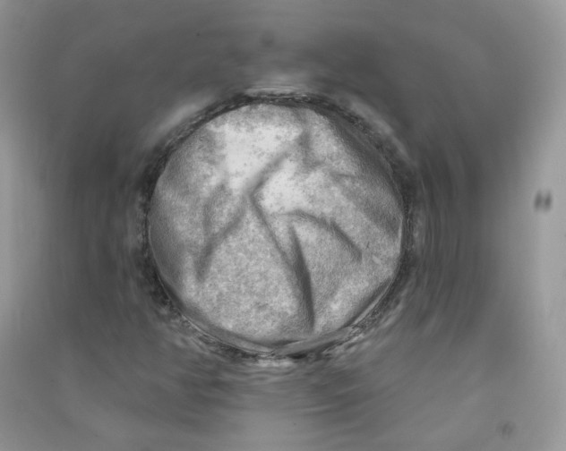 X0000090631350200708141425