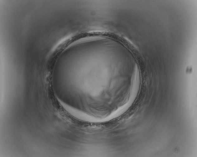 X0000090631351200708141425