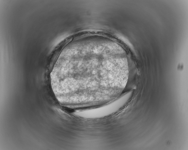 X0000090631352200708141425