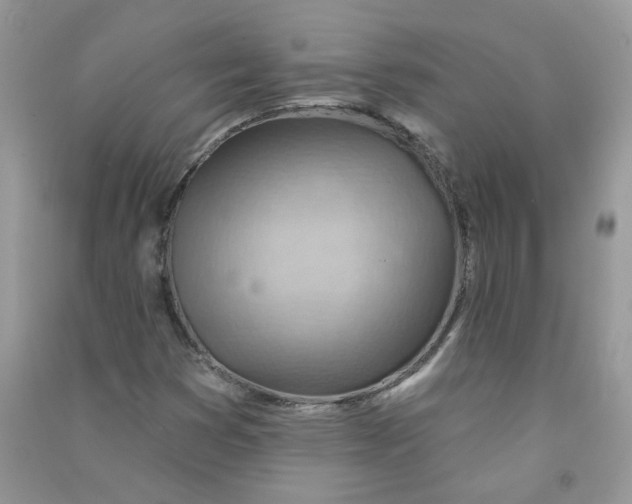 X0000090631353200708141425